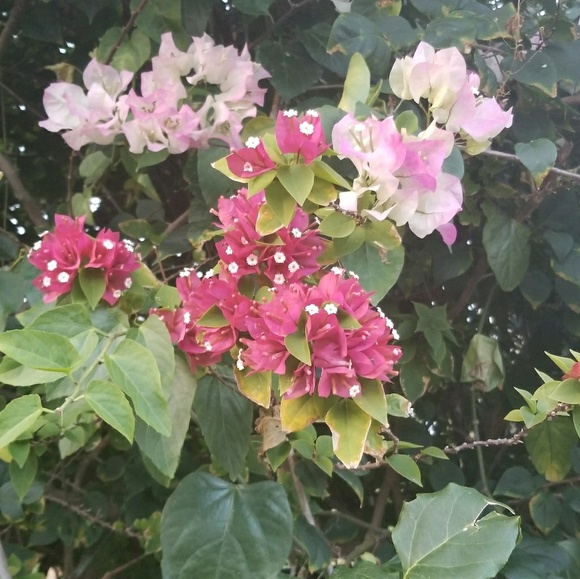 Meet your Posher, Helen - Picture 1 of 1